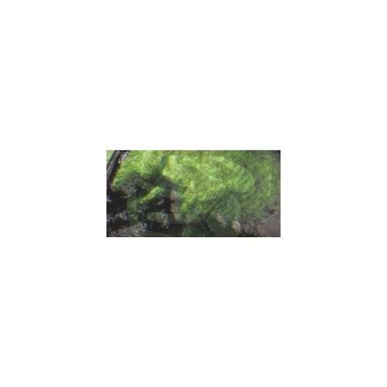 Prima - Acrylic Paint - Avocado Green