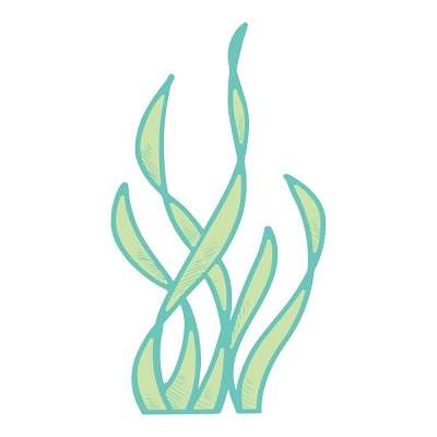 Couture Creations - Seaweed