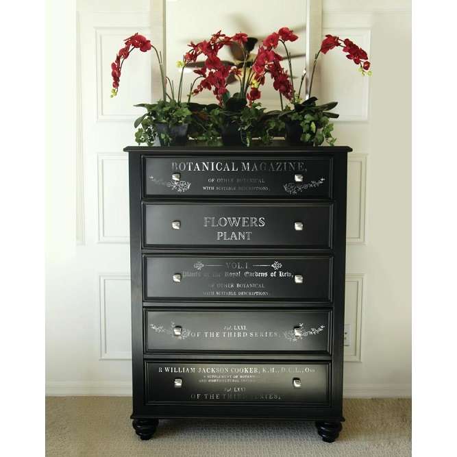 Prima - Botanical Encyclopedia