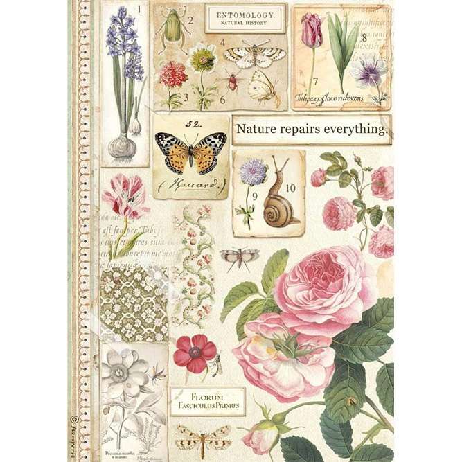 Stamperia Rice Paper - Botany