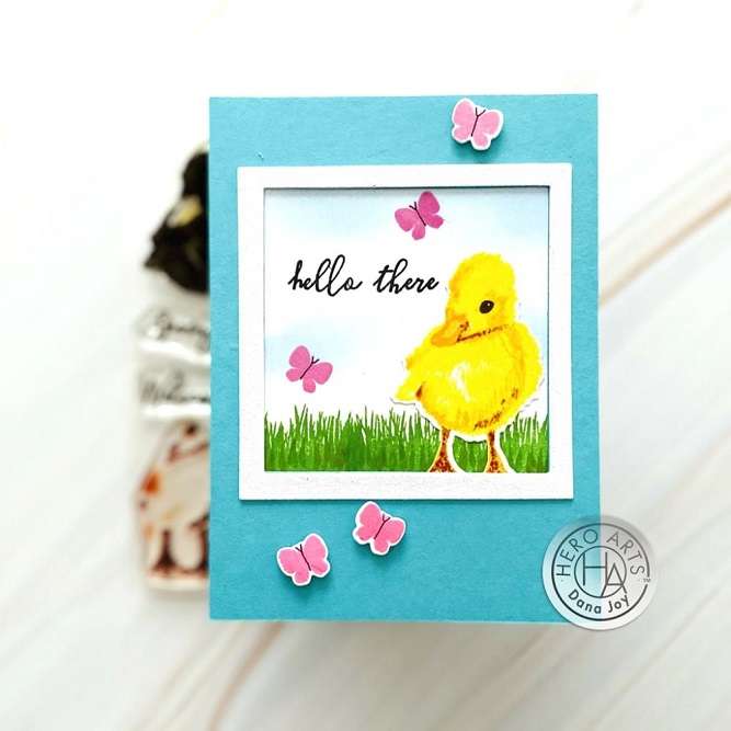 HA - Duckling
