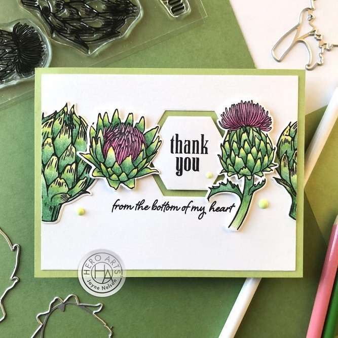 HA - Artichoke Blooms