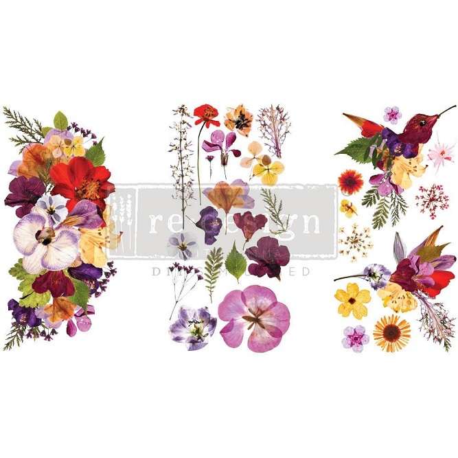 Prima - Transfers - Organic Flora