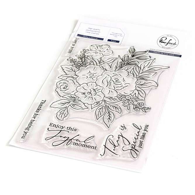 Pinkfresh - Today Is Special Stamp