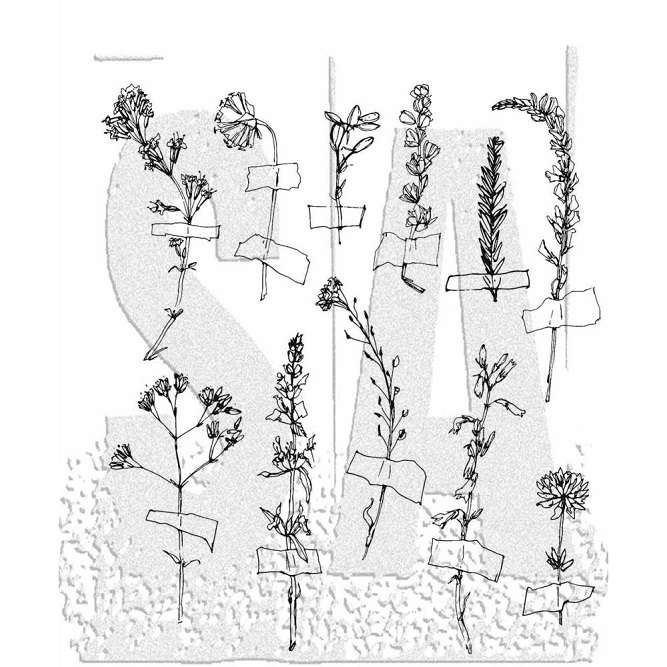 Tim Holtz - Forgotten Garden