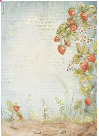 Stamperia Rice paper - Hidden Grove strawberries