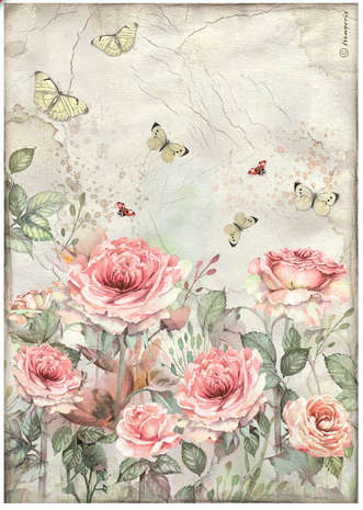 Stamperia Rice paper - Hidden Grove cards