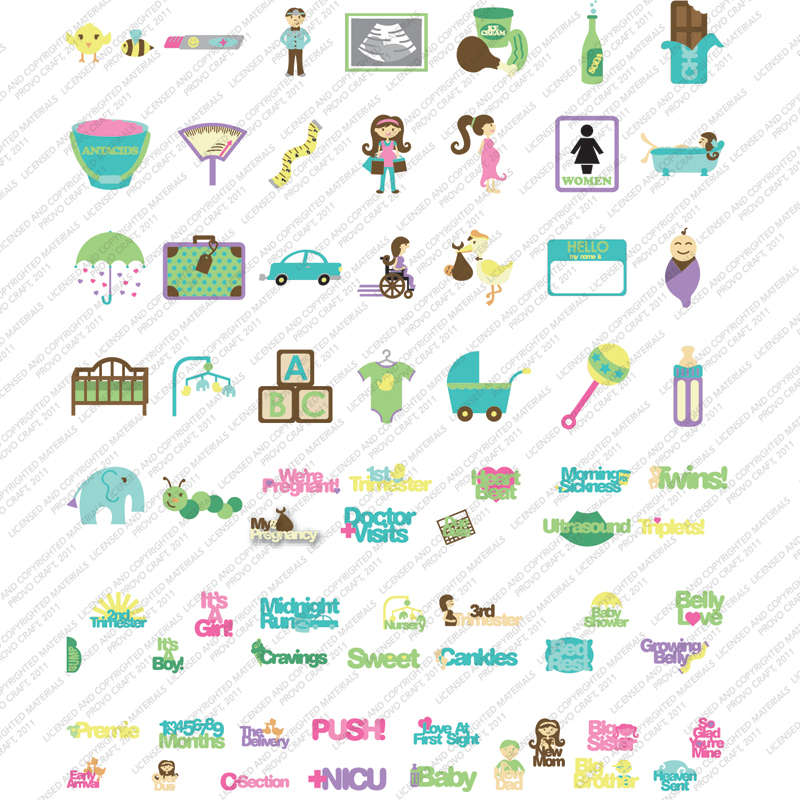 Cricut Lite : 9 months