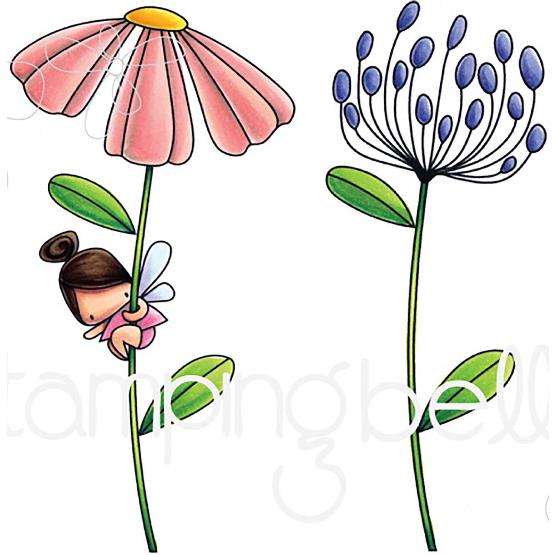 SB - Daisy Floral