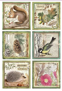 Stamperia Rice Paper - Forest Framed Animals