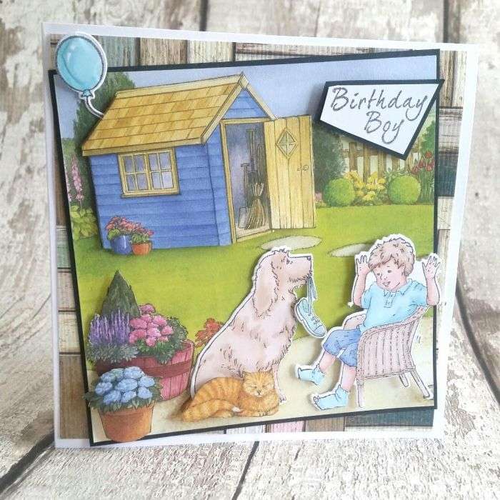 CC - Birthday Boy