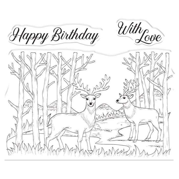 CC - Wild & Free