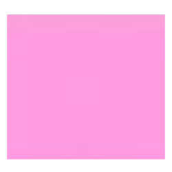 Vinyl (Matt Promo) - Pink
