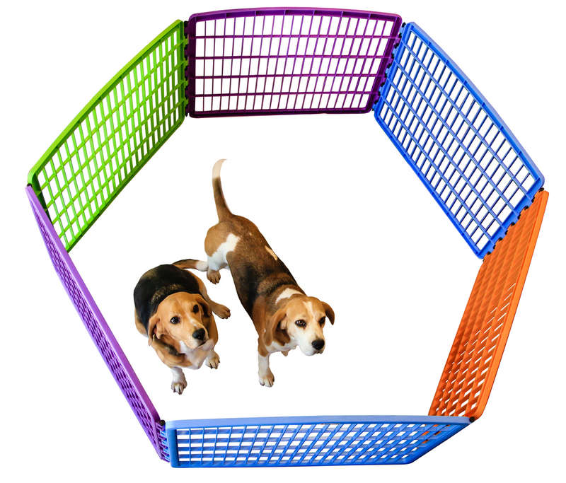 Multi-coloured pet playpen WITH extension kit [Plastic] - 13kg
