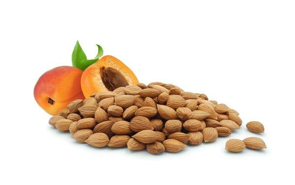 10,352 Apricot Kernels Images, Stock Photos, 3D objects ...
