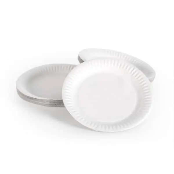 Paper Plates 50's