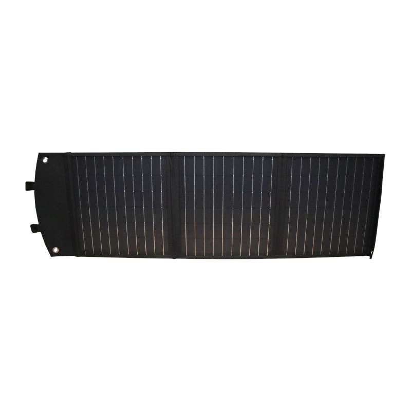 GIZZU 60W Solar Panel