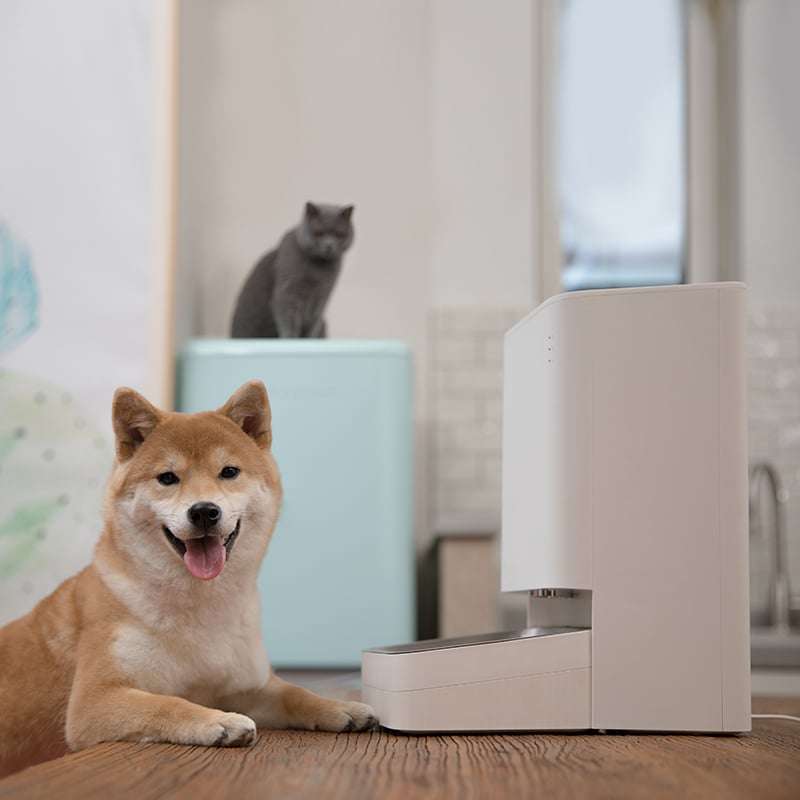 Xiaomi Smart Pet Food Feeder - White