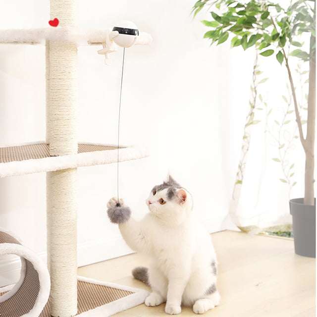 Retractable Cat Bobble