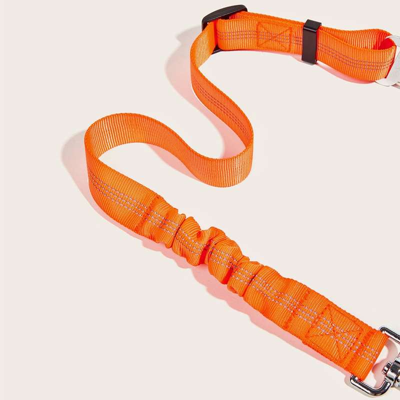 Pet Safety Belt