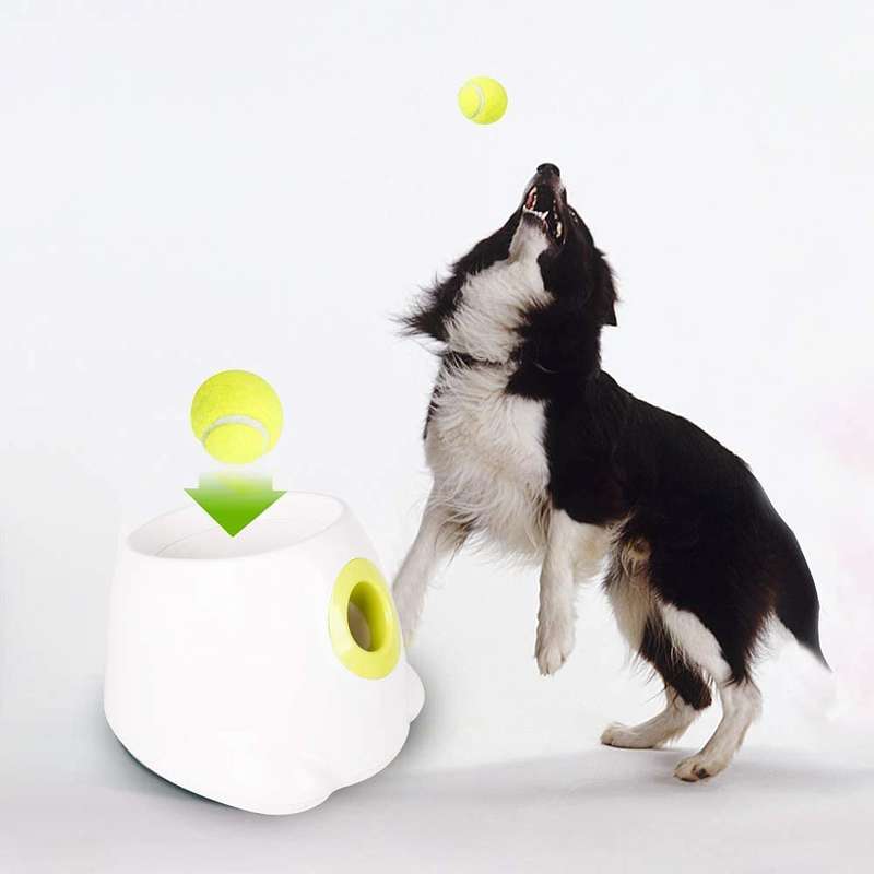 Do it yourself Tennis Ball Shooter