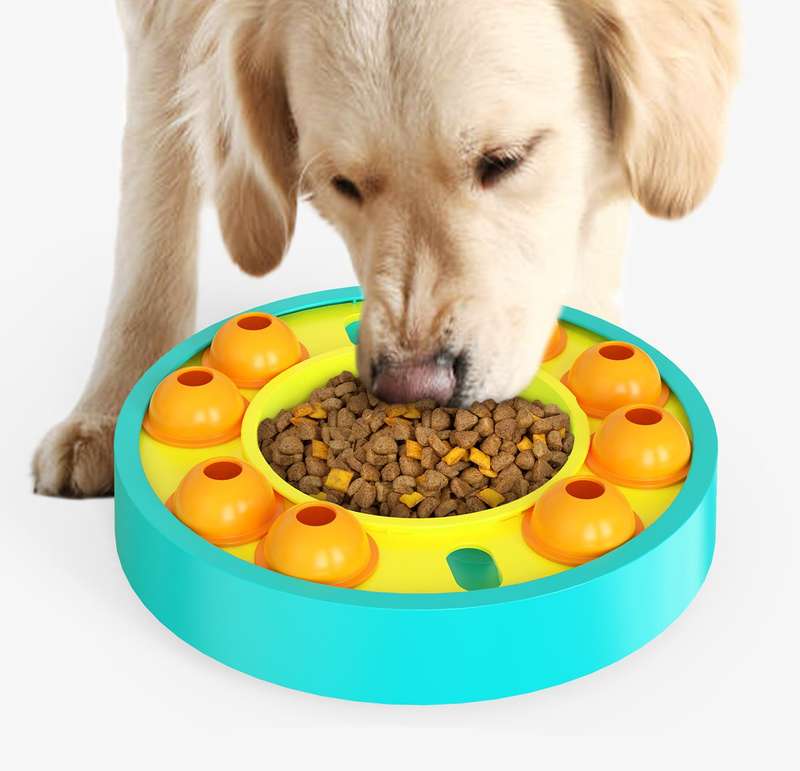 Doggy Slow Puzzle Feeder