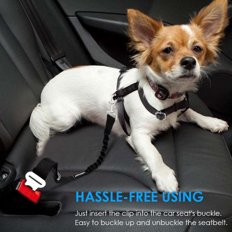 Pet Safety Belt