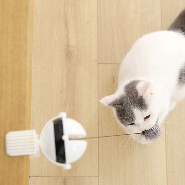 Retractable Cat Bobble