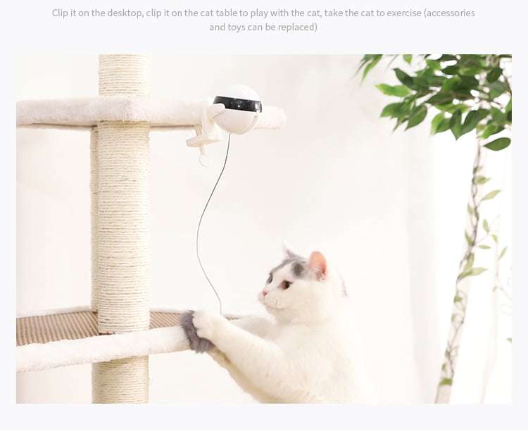 Retractable Cat Bobble