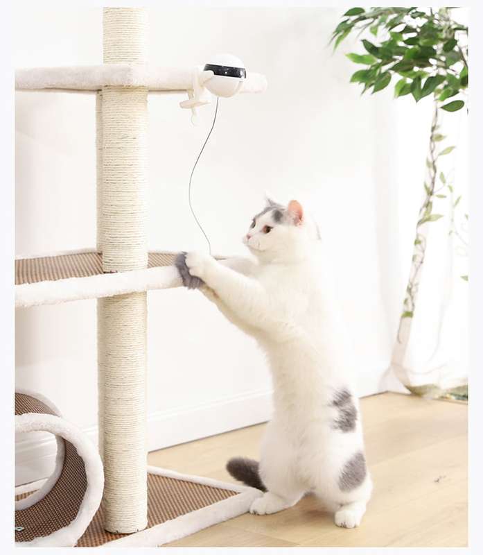 Retractable Cat Bobble