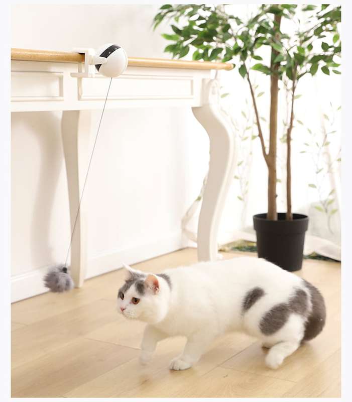 Retractable Cat Bobble