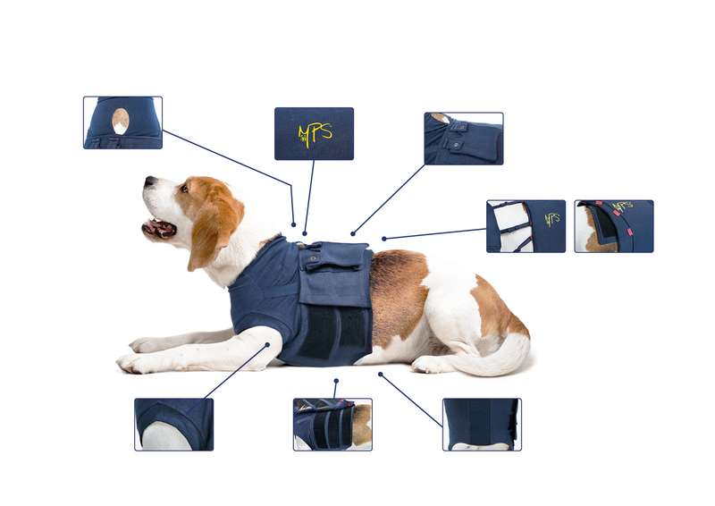 MPS - Veterinary Range Shirt 4 in 1 DOG