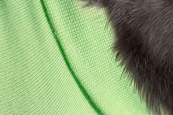 MPS - Veterinary Range Shirt Rabbit