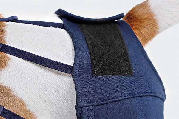 MPS - Veterinary Range Hind Leg Sleeves DOG