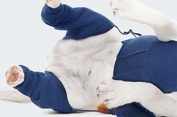 MPS - Veterinary Range Hind Leg Sleeves DOG