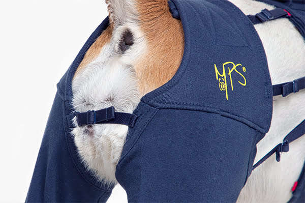 MPS - Veterinary Range Hind Leg Sleeves DOG