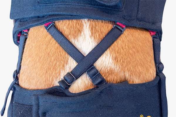MPS - Veterinary Range Hind Leg Sleeves DOG