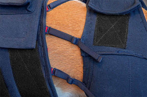 MPS - Veterinary Range Hind Leg Sleeves DOG