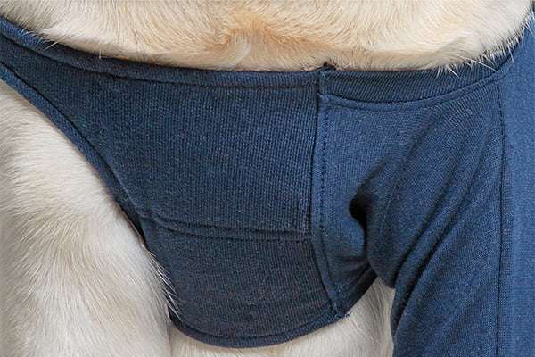 MPS - Veterinary Range Single Sleeve DOG