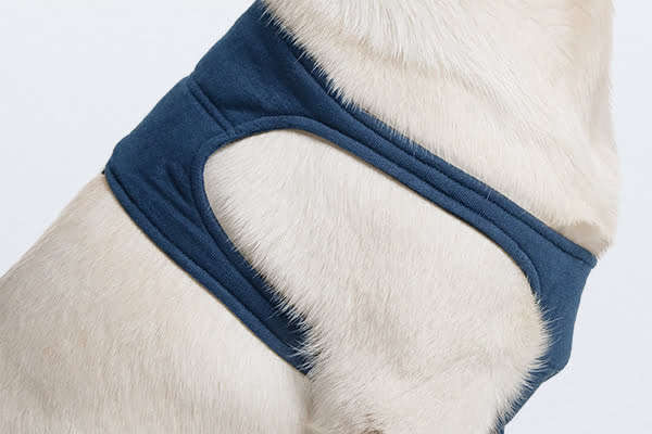 MPS - Veterinary Range Single Sleeve DOG