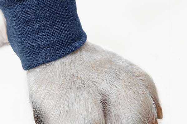 MPS - Veterinary Range Single Sleeve DOG