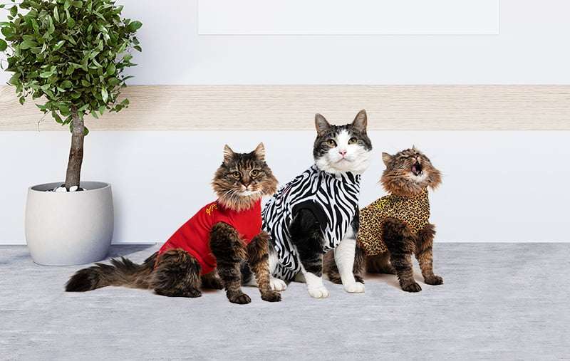 MPS - Veterinary Range Shirt CAT