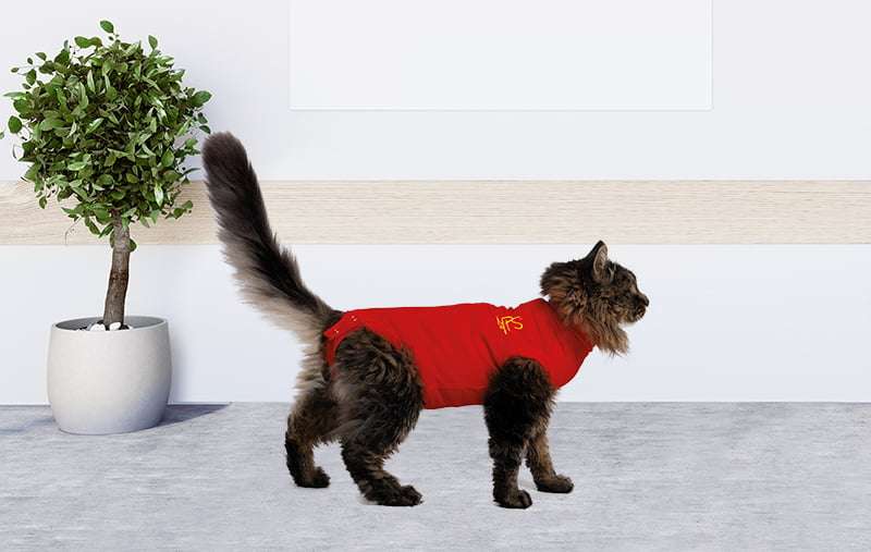 MPS - Veterinary Range Shirt CAT