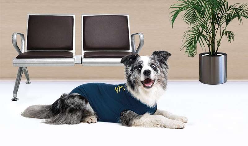 MPS - Veterinary Range Shirt DOG