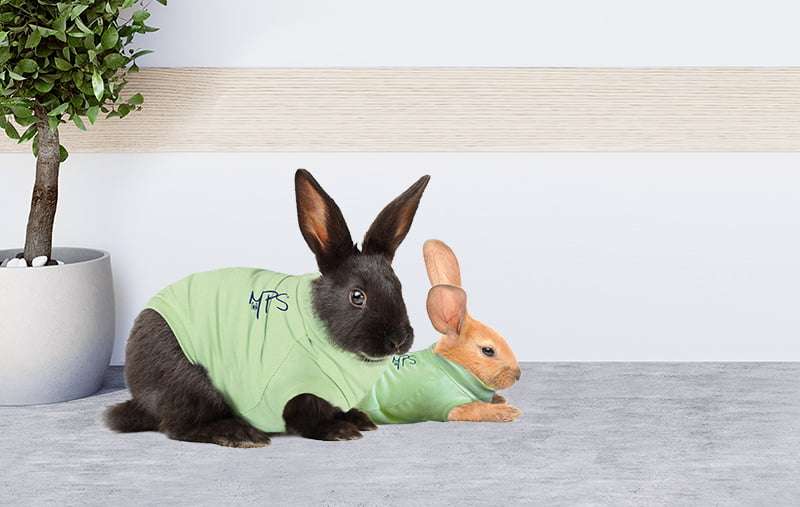 MPS - Veterinary Range Shirt Rabbit