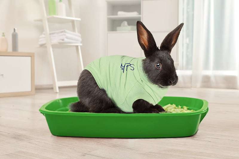 MPS - Veterinary Range Shirt Rabbit
