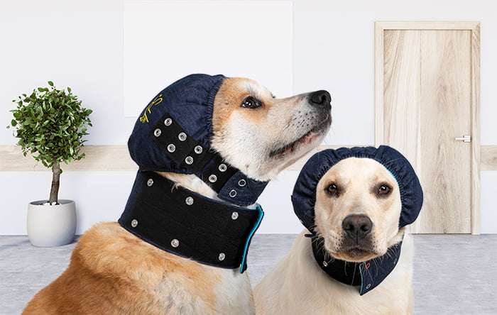 MPS - Veterinary Range Head DOG
