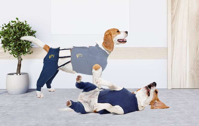 MPS - Veterinary Range Hind Leg Sleeves DOG