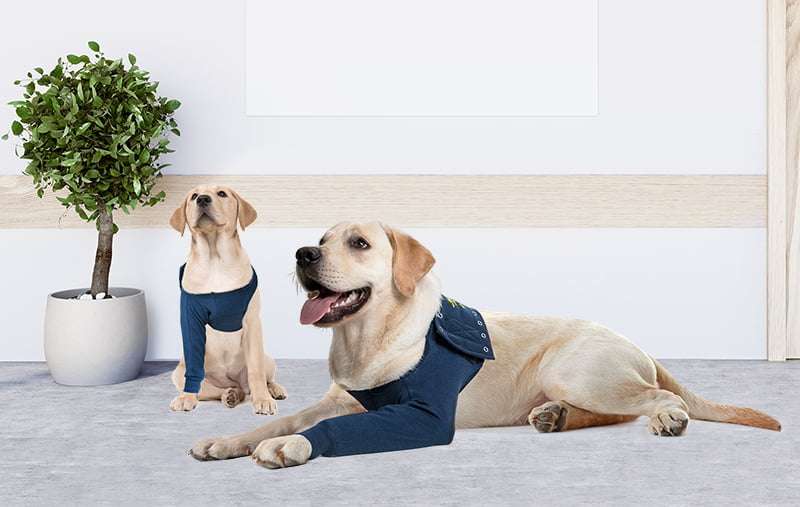 MPS - Veterinary Range Single Sleeve DOG