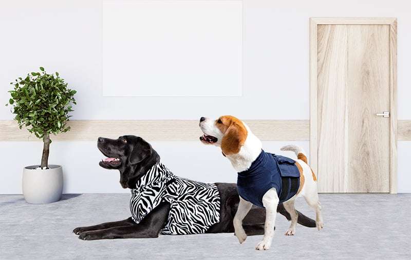 MPS - Veterinary Range Shirt 4 in 1 DOG